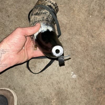 Real Bull Ox Horn /Sounding Horn/Viking Horn - Thumbnail 3