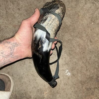 Real Bull Ox Horn /Sounding Horn/Viking Horn - Thumbnail 4