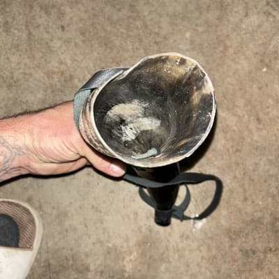 Real Bull Ox Horn /Sounding Horn/Viking Horn - Thumbnail 6