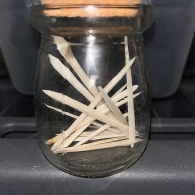 Stingray Stingers Sting Ray Barbs 2”to 3 Inch Long - Image 1