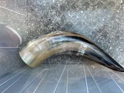 1 Polished Cow Horn Natural Colored - Thumbnail 2