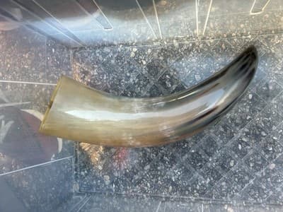 1 Polished Cow Horn Natural Colored - Thumbnail 3