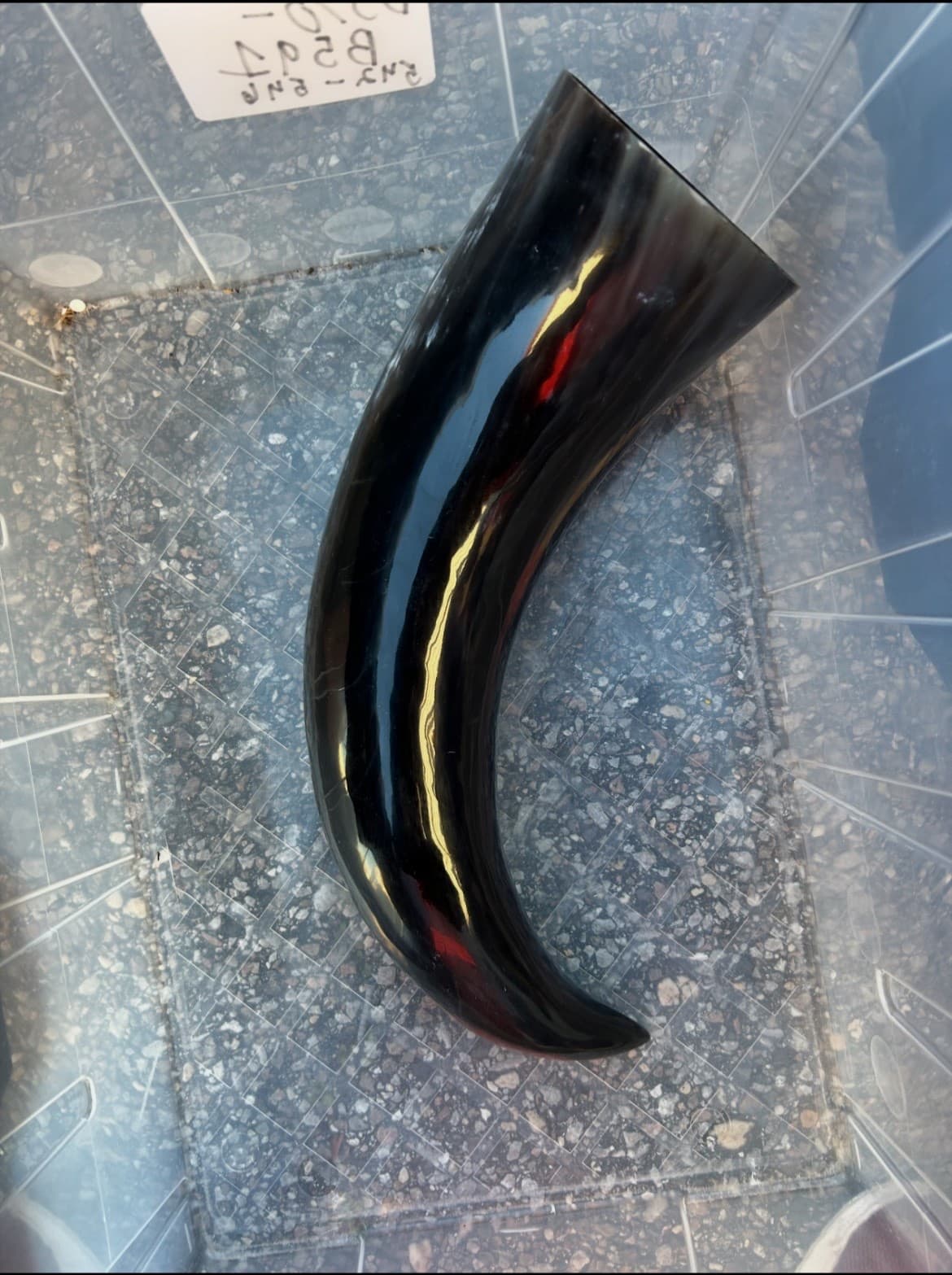 1 Polished Cow Horn Natural Colored - Thumbnail 5