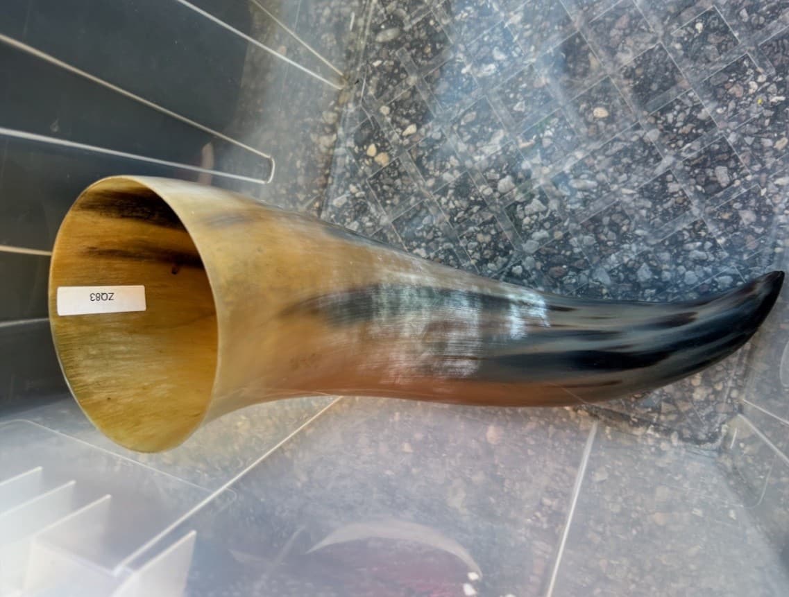 1 Polished Cow Horn Natural Colored - Thumbnail 10