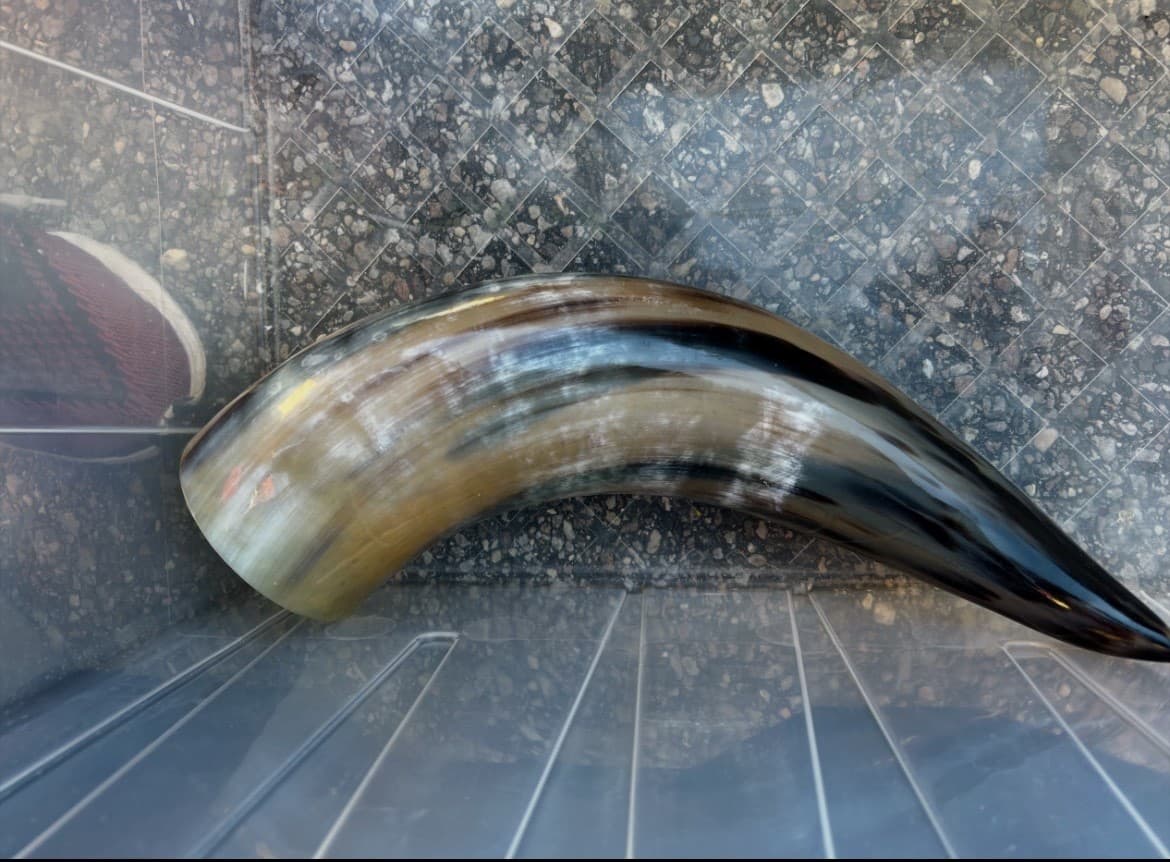 1 Polished Cow Horn Natural Colored - Thumbnail 8