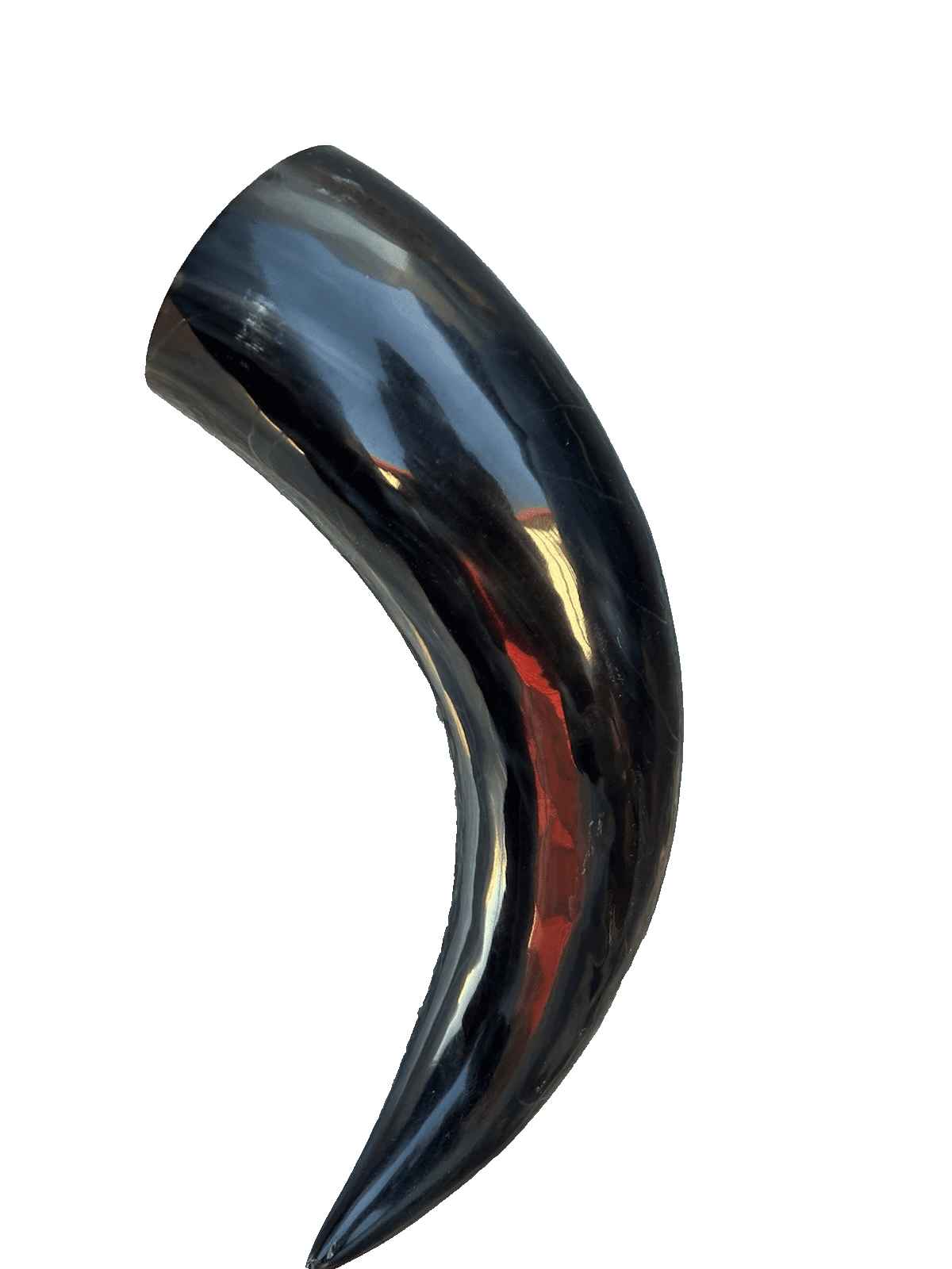 1 Polished Cow Horn Natural Colored - Image 1