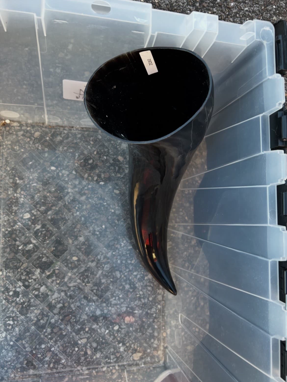 1 Polished Cow Horn Natural Colored - Thumbnail 6