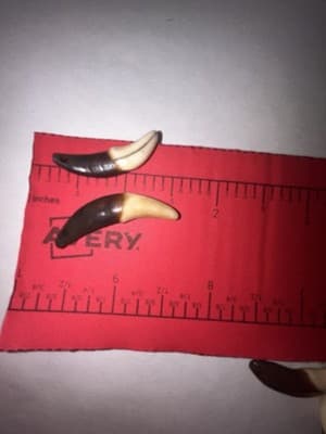 Coyote Claws - Thumbnail 3