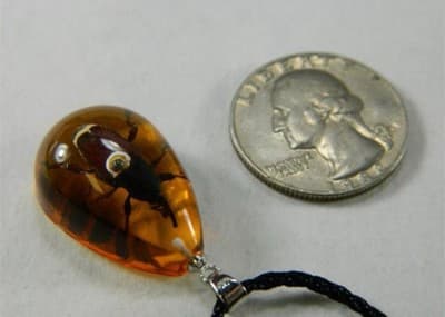 38 mm Real Beatle Pendant - Thumbnail 2