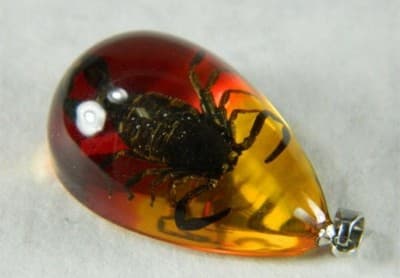 38mm Real Scorpion Pendant - Thumbnail 2