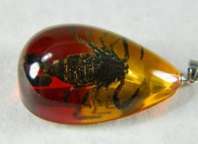 38mm Real Scorpion Pendant - Thumbnail 3