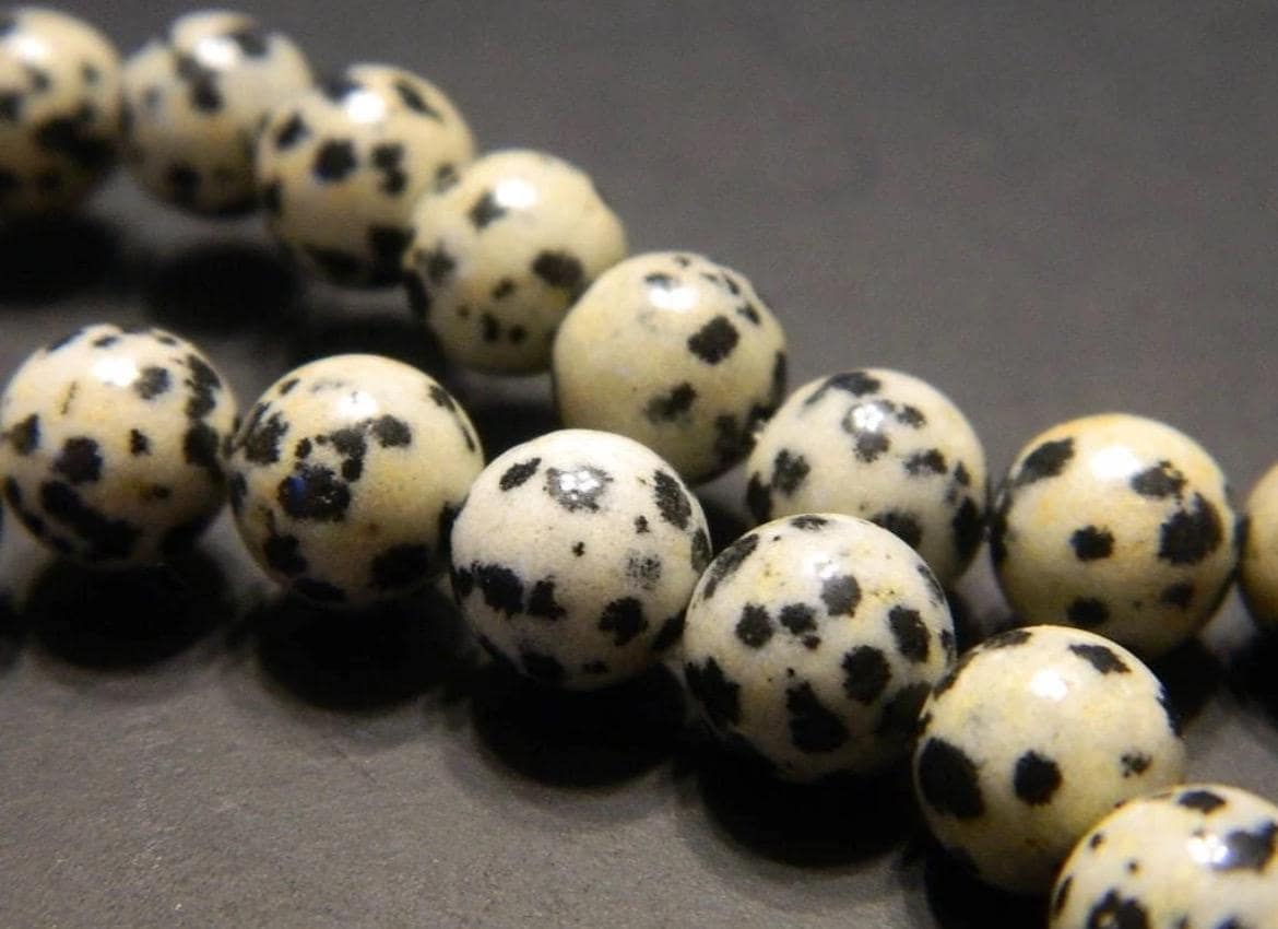 8mm Dalmatian Jasper Beads - Smooth Round Gemstone Strand - Image 1