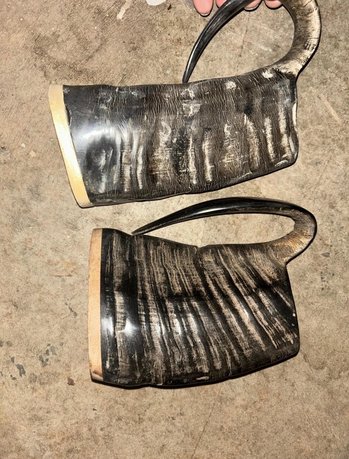 Handcrafted Viking Drinking Horn Mug | Norse Beer Stein. 5 different cups - Thumbnail 7