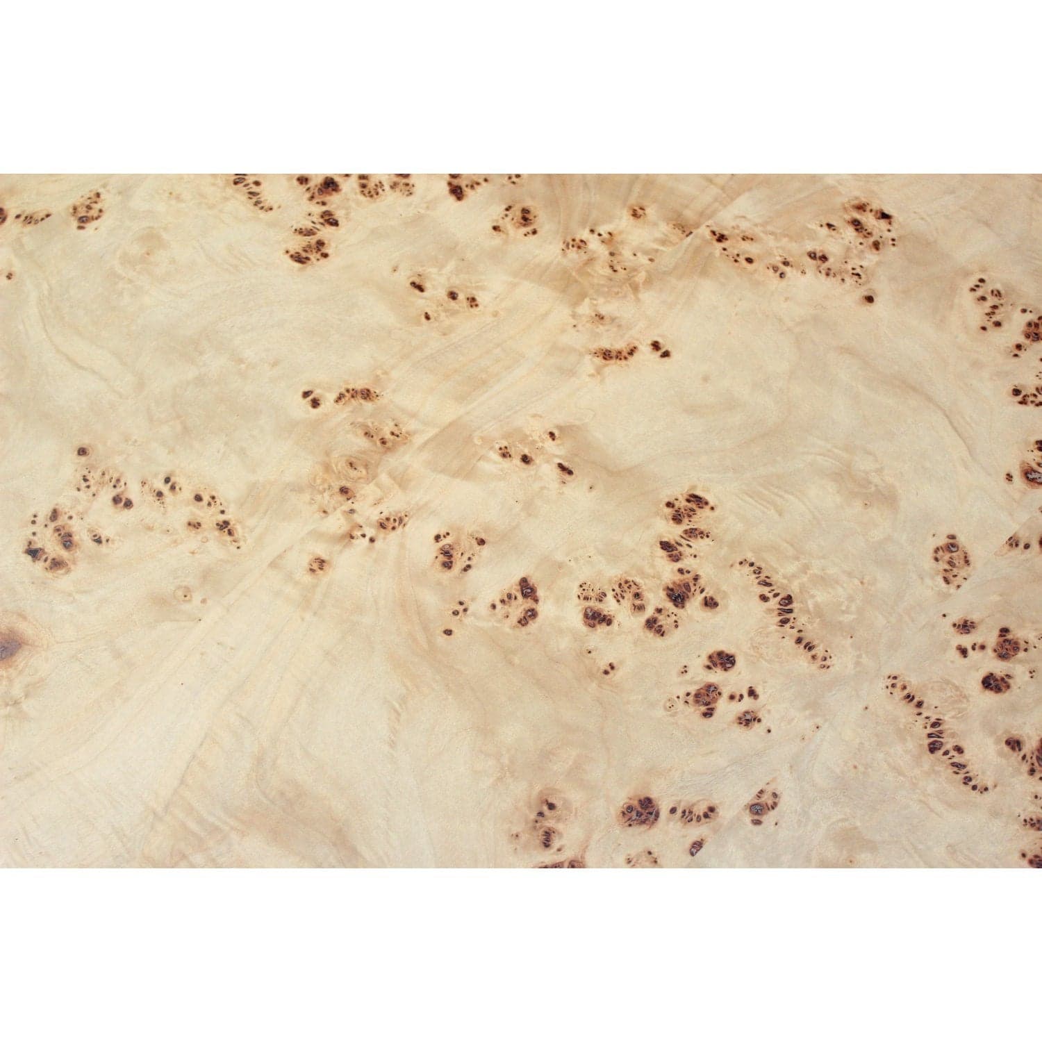 Four Hands 'Elena' Coffee Table - Thumbnail 3