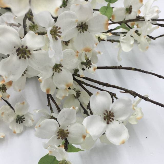 Dogwood Floral Stems - Thumbnail 2