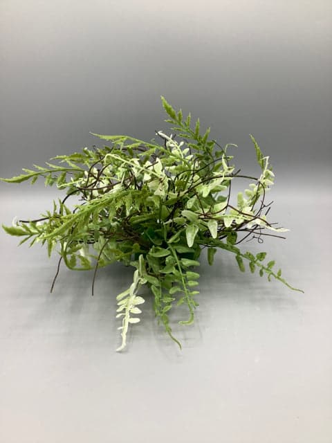 *NEW* Fern Twig Half Orb - Thumbnail 2