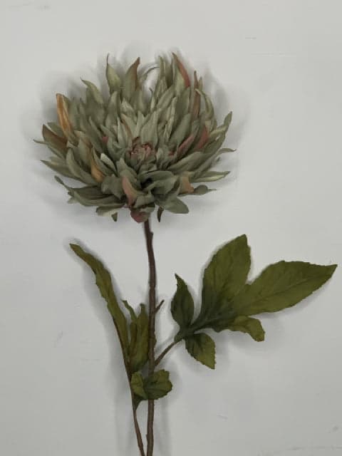 *NEW* 30" Polyester Flame Dahlia- Tea Green - Image 1