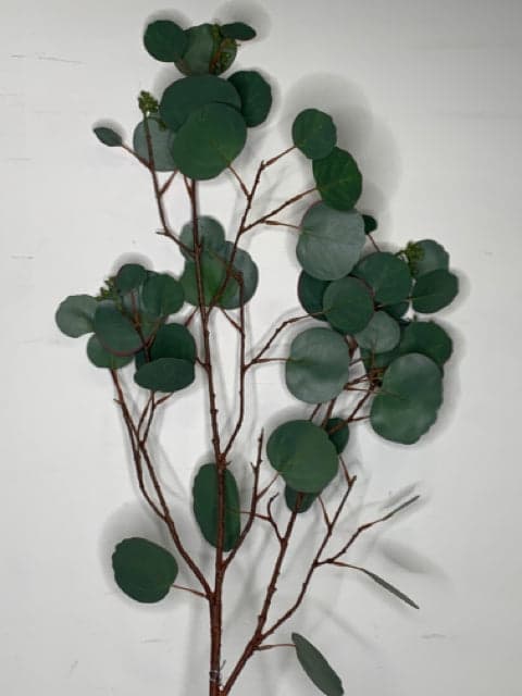 *NEW* 43" Seeded Dollar Eucalyptus Stem - Image 1