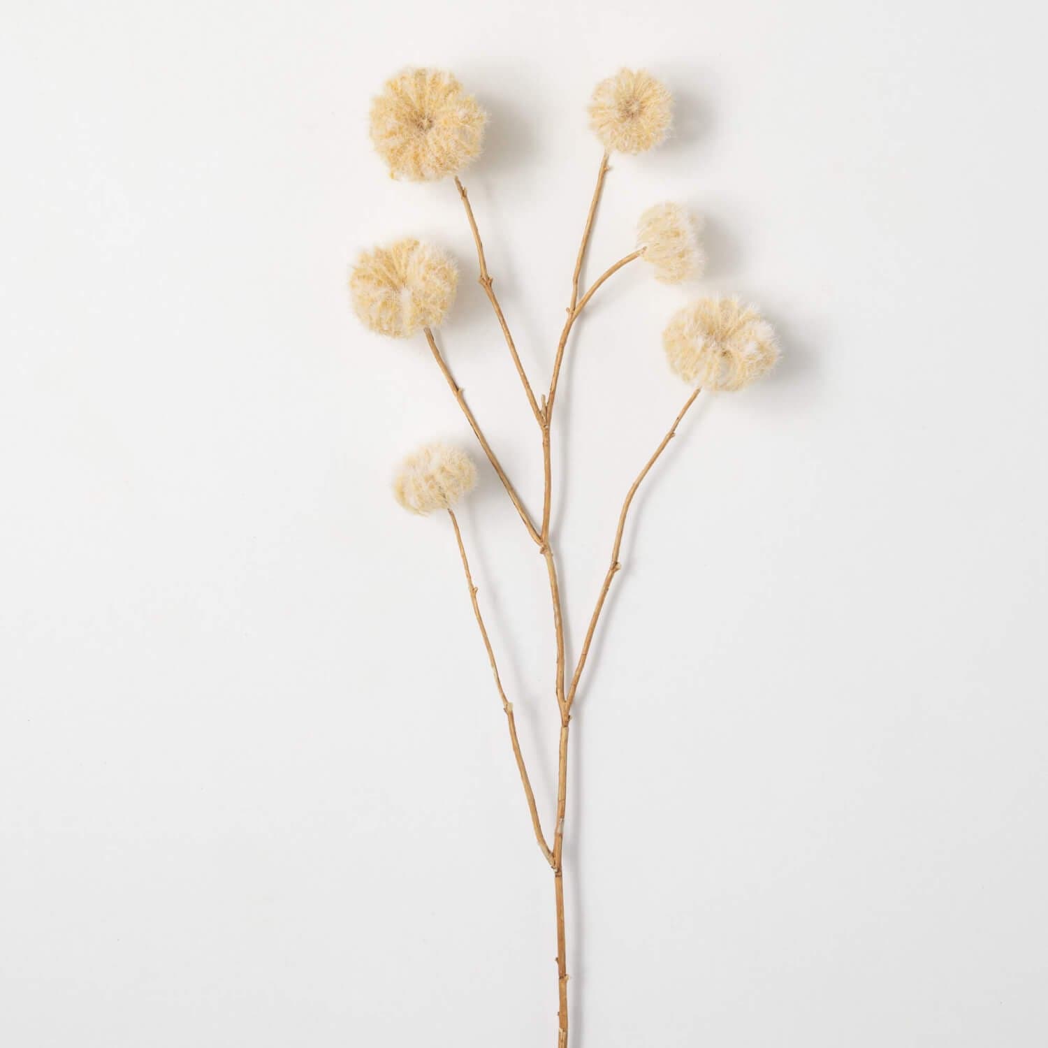*NEW* Faux Dried Cream-Colored Pods - Image 1