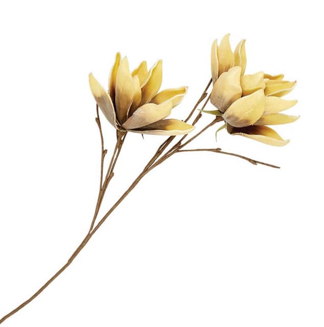 *NEW* Caramel Banana Magnolia Floral Stem - Image 1