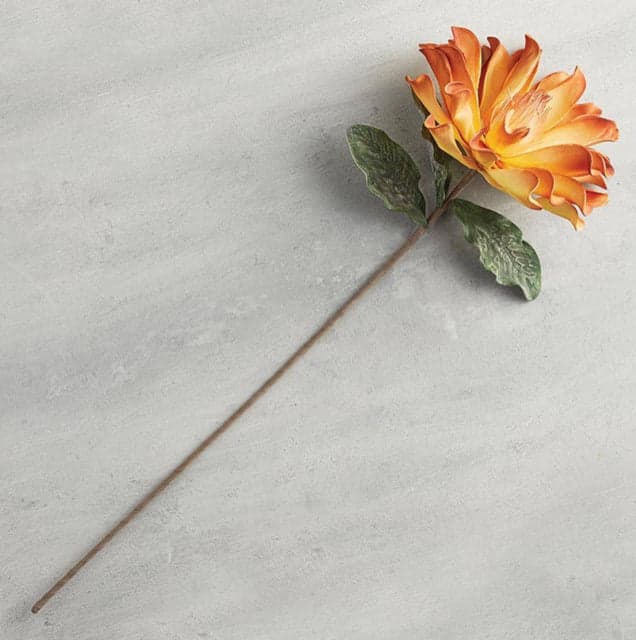 *NEW* Golden Rust Magnolia Floral Stem - Image 1