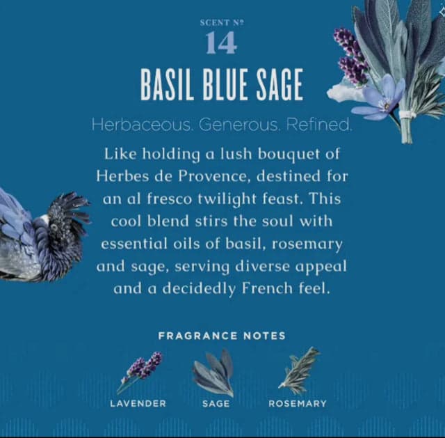 *NEW Caldrea Basil Blue Sage Hand Soap with Aloe Vera & Olive Oil - Thumbnail 2