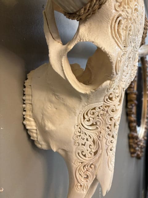 Handcarved Balinese Longhorn Buffalo Skull-White - Thumbnail 3