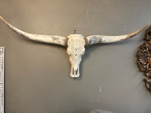 Handcarved Balinese Longhorn Buffalo Skull-White - Image 1