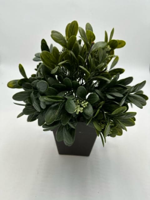 Greenery in Brown Pot - Image 1