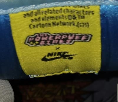 The Powerpuff Girls Dunk Pro SB Low Bubbles (No Box) Size 9.5 - Thumbnail 9