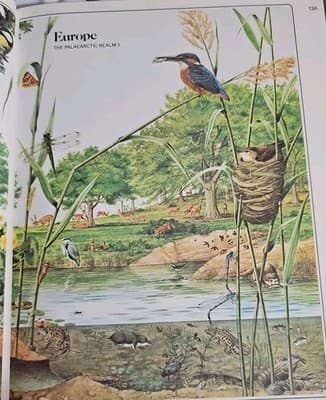 The Explorer World Atlas Rand McNally 1979 - Thumbnail 8