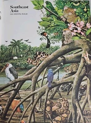 The Explorer World Atlas Rand McNally 1979 - Thumbnail 9