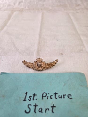 Military Style Wings Badge Brooch - Image 1