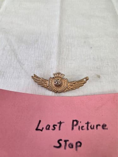 Military Style Wings Badge Brooch - Thumbnail 5