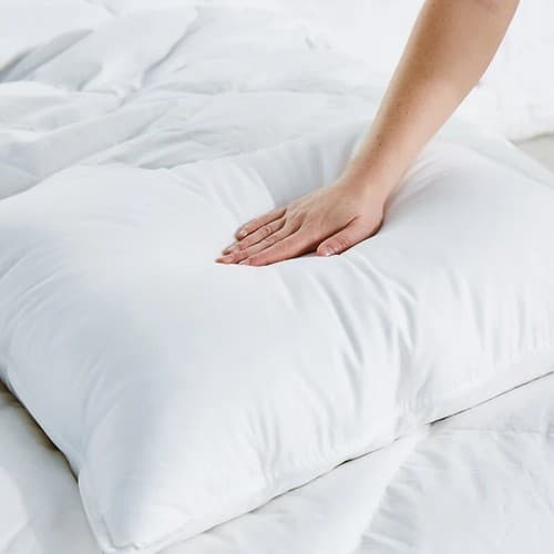 Avocado Down Bed Pillow Multi Sizes and Feel Levels - Thumbnail 3