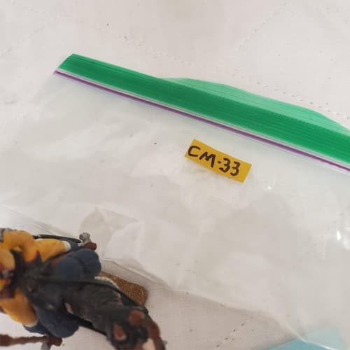 Metal Hand Painted 54mm SOE002 Skinner's Horse Lancer CM-33 - Thumbnail 5