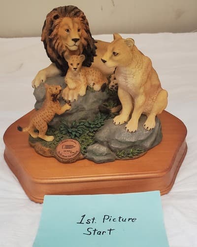 National Geographic Wildlife Collection San Francisco Music Box - Image 1