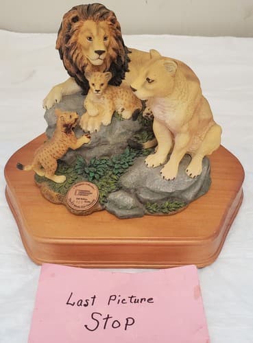 National Geographic Wildlife Collection San Francisco Music Box - Thumbnail 11