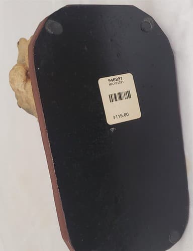 Estevez Creations Limited Wolves Wolf Autumn Lesson Made in Mexico Sculpture - Thumbnail 9