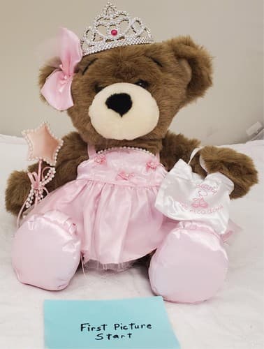 Build a Bear Workshops Brown Bear With Pink Ballerina Tutu Outfit - Image 1