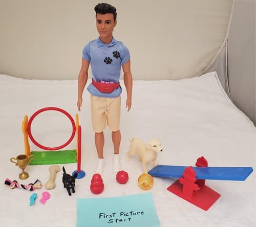 2019 Mattel Barbie Doll You Can Be Anything Dog Trainer Playset - Image 1
