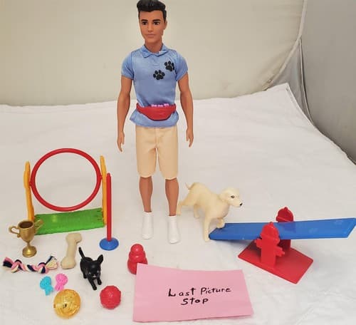 2019 Mattel Barbie Doll You Can Be Anything Dog Trainer Playset - Thumbnail 7