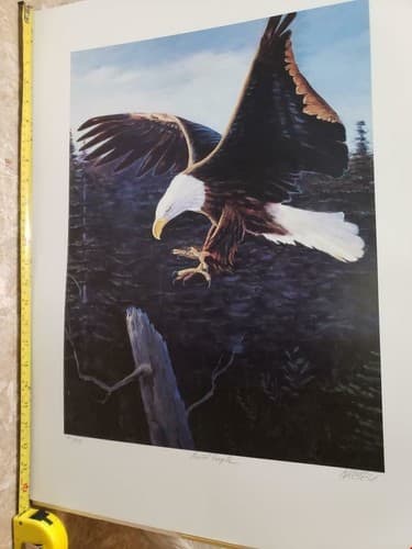 Gray Kremen Symphony on Canvas Bald Eagle Art Print Poster - Image 1