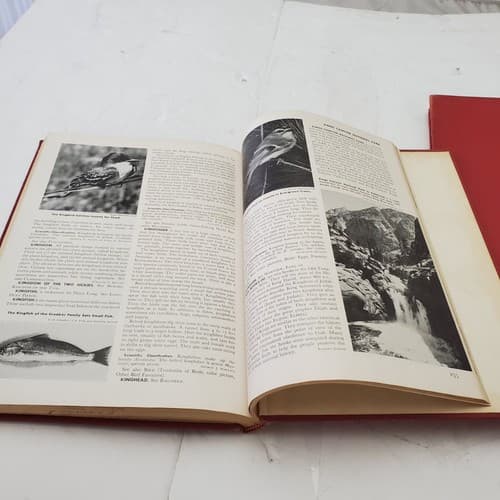 The World Book Encyclopedia Volume J-K /11 and L Volume 12 Hardcover - Thumbnail 8