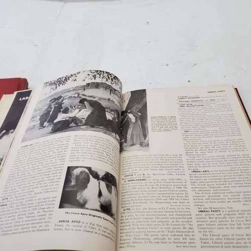 The World Book Encyclopedia Volume J-K /11 and L Volume 12 Hardcover - Thumbnail 9