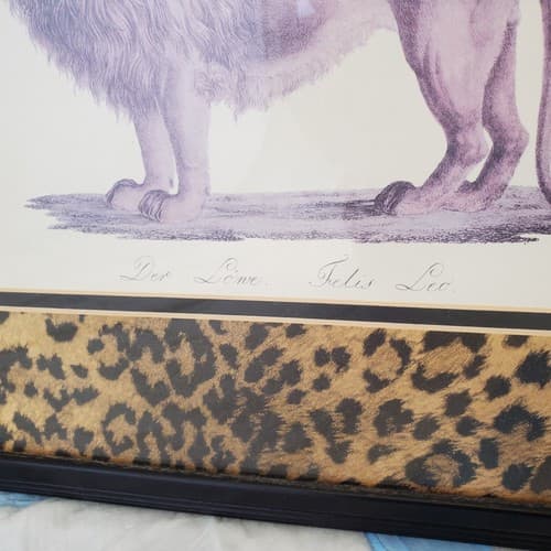 Safari Jungle Decor Print Der Lone Felis Leo Matted Framed Lion Print - Thumbnail 2