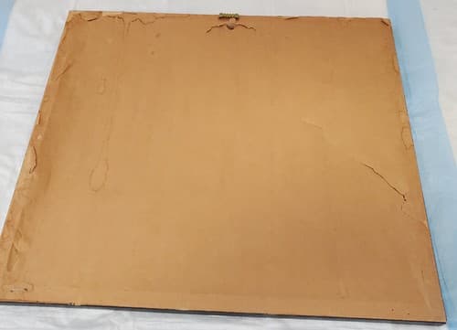 Safari Jungle Decor Print Der Lone Felis Leo Matted Framed Lion Print - Thumbnail 5