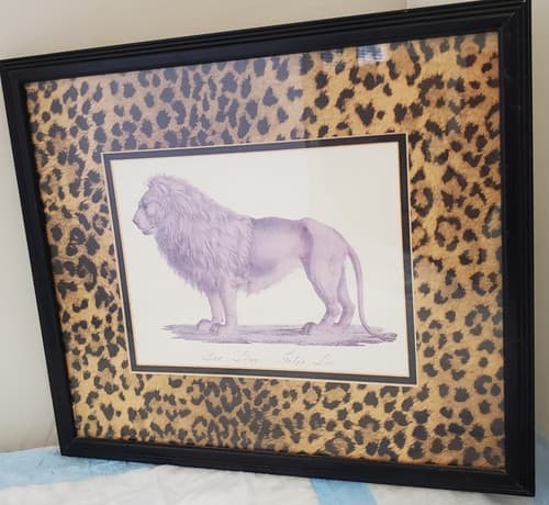 Safari Jungle Decor Print Der Lone Felis Leo Matted Framed Lion Print - Thumbnail 3