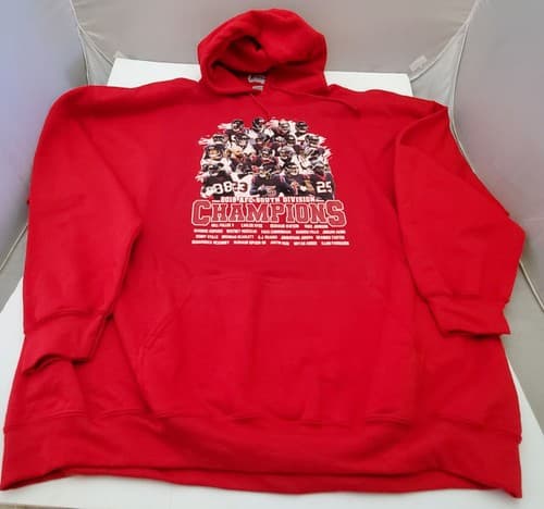 Houston Texans NFL 2019 AFC South Division Champions Hoodie Hooded Coat - Image 1