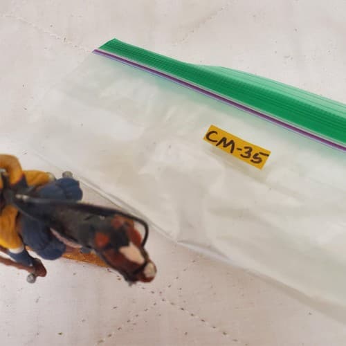 Metal Hand Painted 54mm SOE002 Skinner's Horse Lancer CM-35 - Thumbnail 3